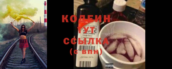 крисы Каменка