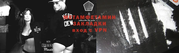 крисы Каменка