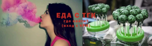 крисы Каменка